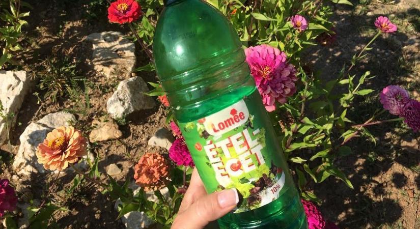 Egy csepp ecet a locsolóvízbe, őrület mit művel a kertben
