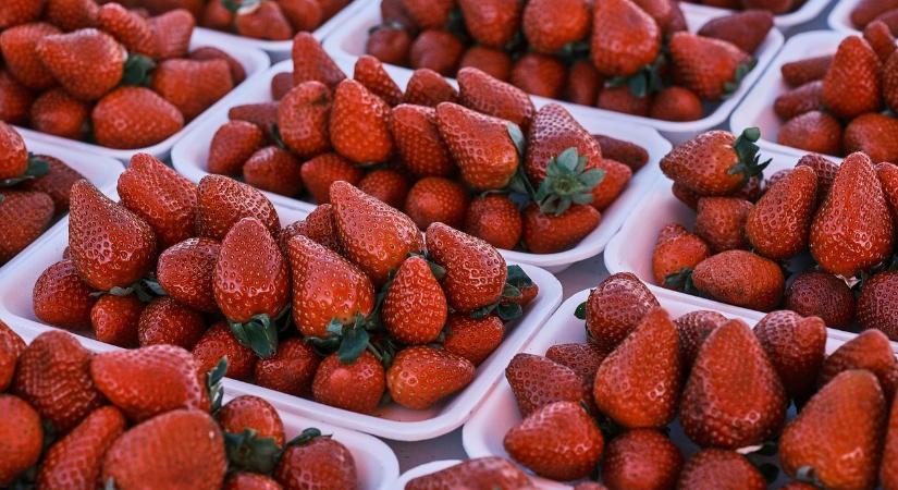 Valóban kevésbé vegyszerezett a termelőtől vásárolt földieper?