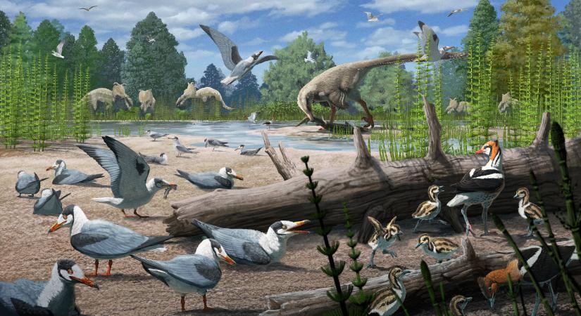 Madarak fészkeltek a dinoszauruszok korában Alaszkában