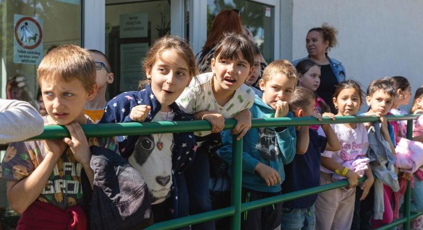 Így még biztosan nem látták a debreceni gyerekek a saját rajzaikat – fotókkal, videókkal