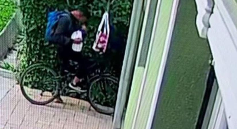 Kajalopó rém dézsmálta meg a háziorvos rántott húsát Felsőtárkányban