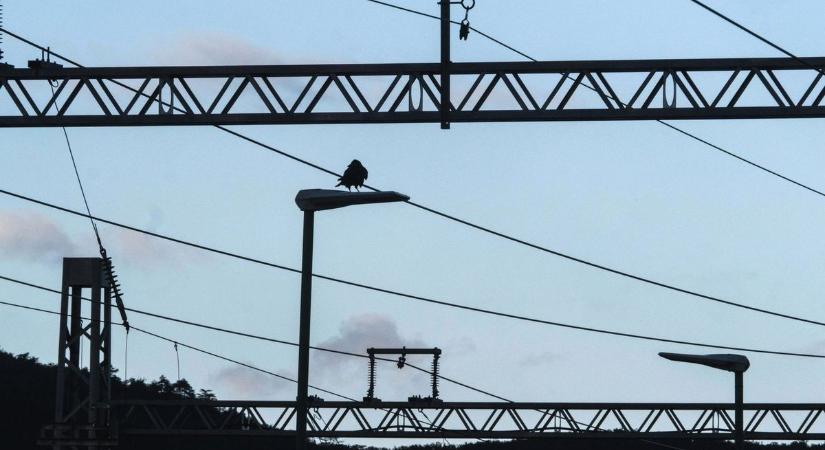 Ha késik a vonat: így veheted igénybe a késés biztosítást