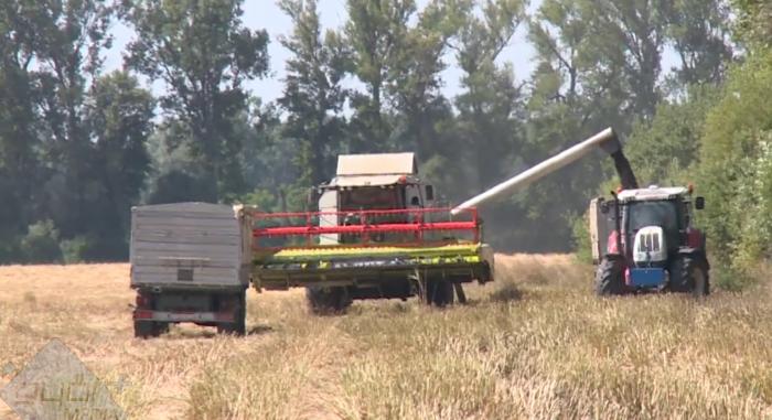 Valódi lehetőséget kínál a magyar agrárszakképzés a fiataloknak