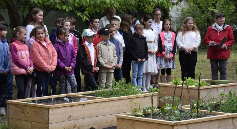Iskolakert: közelebb hozzák a természetet a gyermekekhez – fotók
