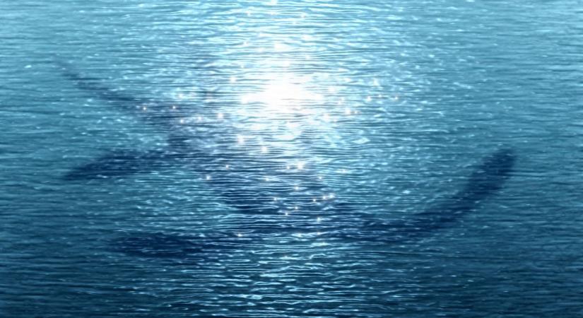 Kiderült a Loch Ness-i szörny titka: ez tarthatta életben a titokzatos állatot