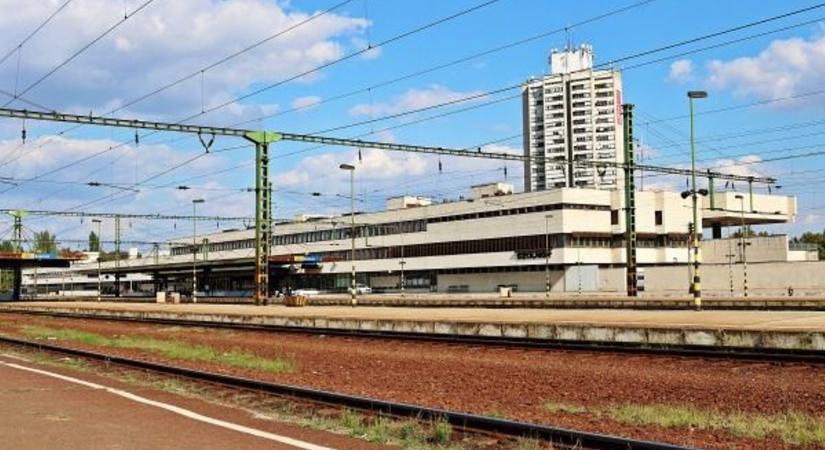 Furcsa, óriási rovarok jelentek meg a szolnoki vasútállomáson – vajon mi lehet ez?
