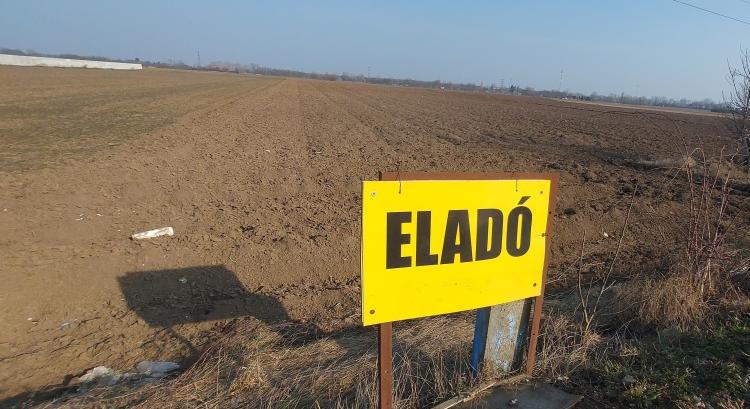 Kidobolnak 13 ezer hektárt