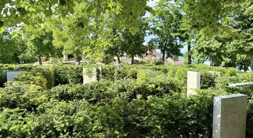 Különleges kert nyitotta meg a kapuit a Balatonnál