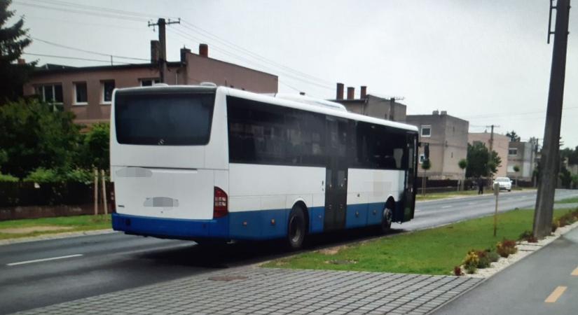 Szarvast gázolt a busz a belvárosban (fotókkal)