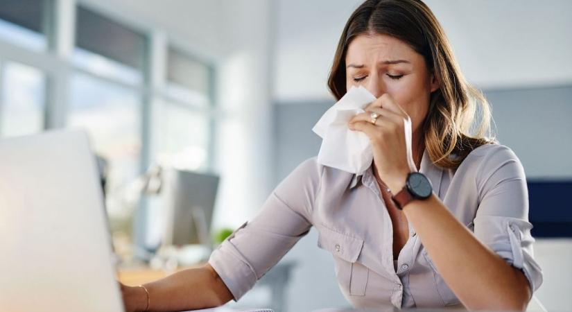 Allergiások figyelem! Ebből a három növényből készül a tuti orvosság