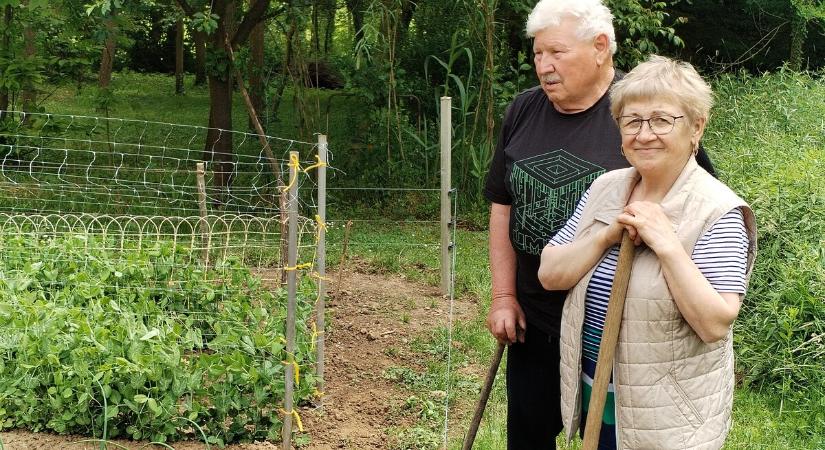 Ásó, kapa, gereblye 140.: A természet ölelésében a város határában