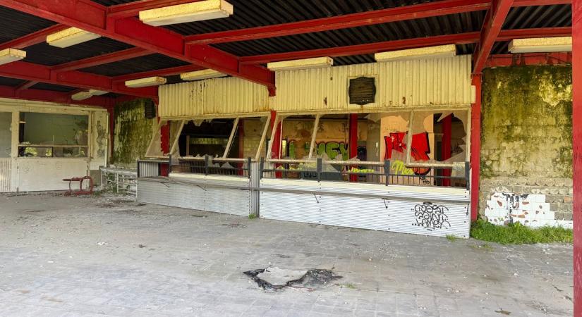 Romhalmaz maradt a festői úttörőtáborból: ezekbe a balatoni fotókba beleszakad a szív (galéria, videó)