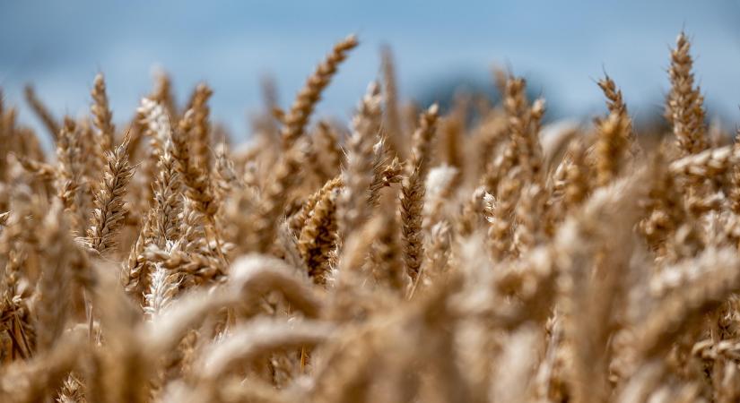 Oeconomus: Az uniós agrárpolitika reformra szorul, ennek okai túlmutatnak Ukrajnán