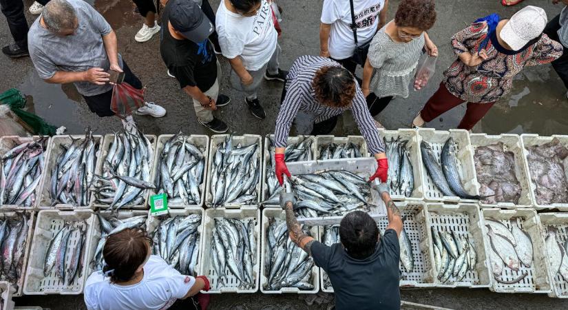 Hamarosan ismét lesz japán hal a kínai piacokon