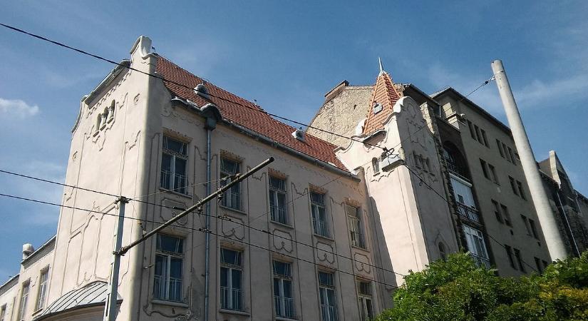 Magyar Péter bejelentése – átvállalja a Tisza a kölcseys tanárok perköltségét