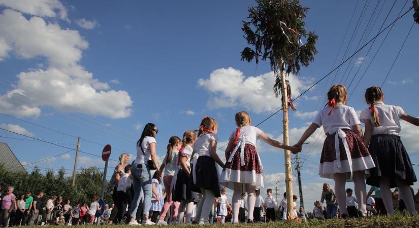 Lányok örömére szánták, de most kidöntötték (galéria)