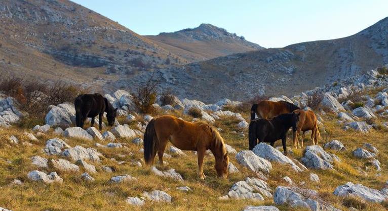 Winnetou nyomdokaiban – Horvátország egy indián szemével