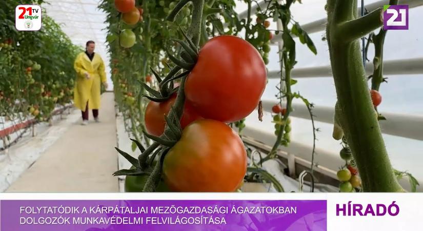 Folytatódik a kárpátaljai mezőgazdasági ágazatokban dolgozók munkavédelmi felvilágosítása (videó)