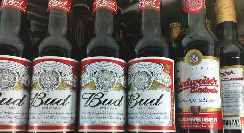Hogyan gyárthatnak egyszerre Amerikában és Csehországban is Budweisert?
