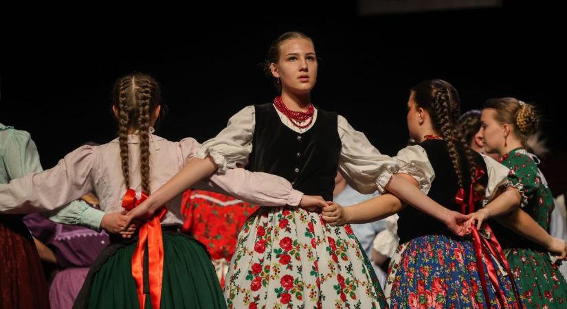 Fotókon a 13. Forgórózsa Fesztivál: szervező beszélt a programokról