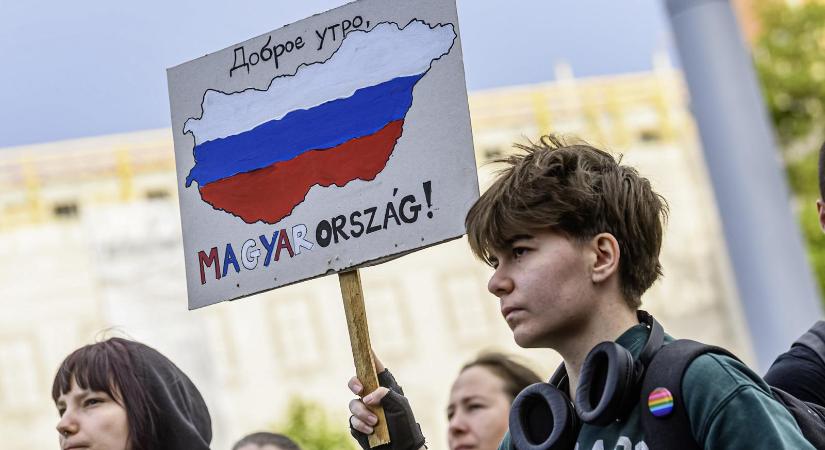Kezdenek eszmélni a poloskák, nagy takarodás követheti a nagytakarítást