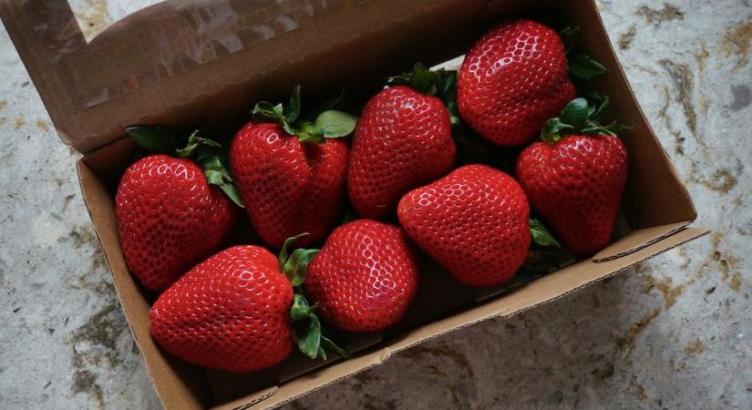 Kiderült! Kell aggódnod amiatt, hogy idén sokkal több az óriás eper, mint korábban?