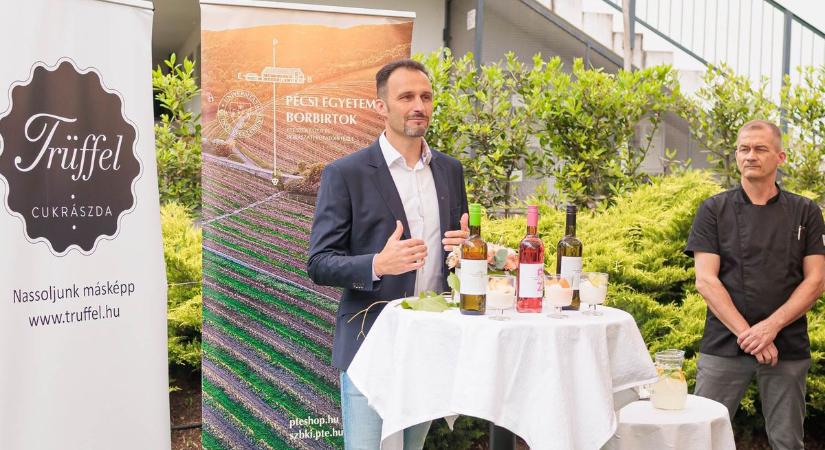 Jöhet akkor egy nagy gombóc Sauvignon Blanc?