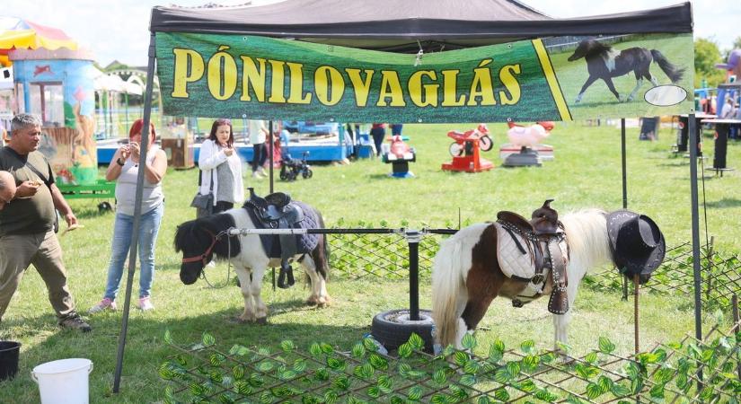 A Bujtosi Városligetben parádéznak
