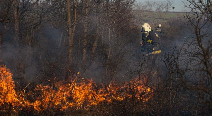 Erdei lángtenger, hatalmas pusztítás Somogyban: eldobni 1 másodperc, eloltani 100 óra, helyreállítani 100 év