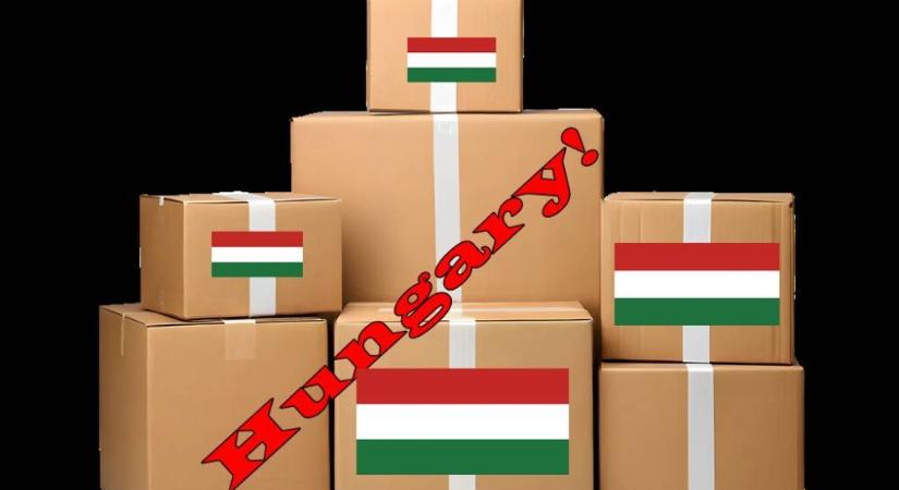 Amerikai álom magyar földön – Mi vonzza ide az amerikai családokat, és miért nem mindenki marad?