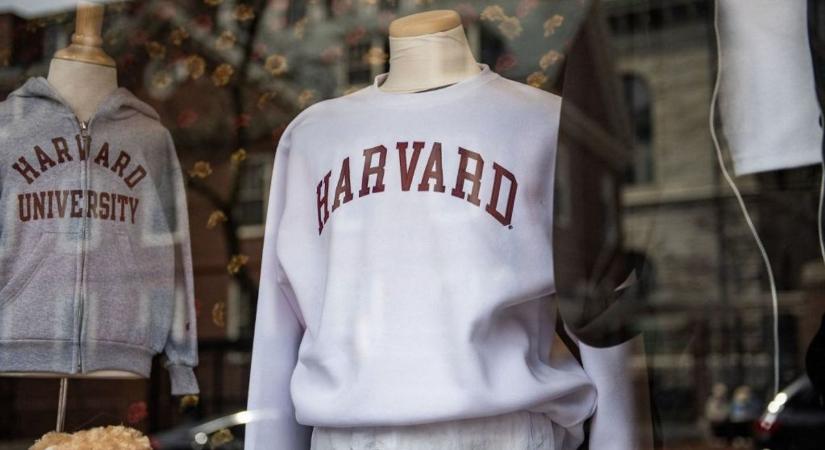 Nehezebb gyakornoki helyekre bejutni, mint magára a Harvardra