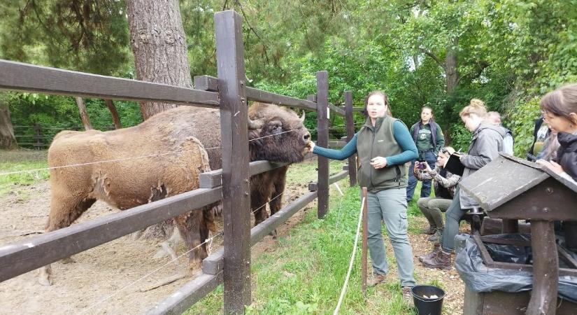 Terepgyakorlat a Körös-Maros Nemzeti Park szarvasi bemutatóhelyén