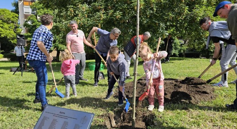 A legkisebbek is segítettek a faültetésben Hajdú-Biharban