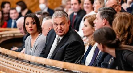 Orbán Ráhel bababoltja fennállása legnagyobb veszteségét hozta össze
