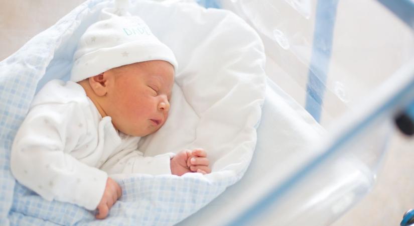 Kicsi babát hagytak a kaposvári inkubátorban