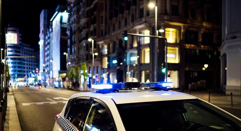 Rendőrségi kihágást követett el egy állat, azonnal vizsgálódni kezdett a hatóság
