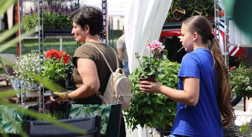 Négy napon át bűvölte el látogatóit a Florens kiállítás  fotók