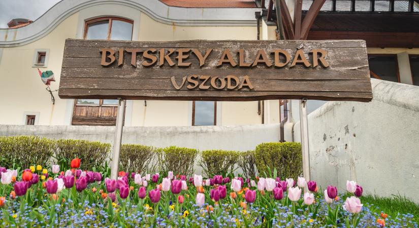 Műemlék lett az egri Bitskey Aladár Uszoda