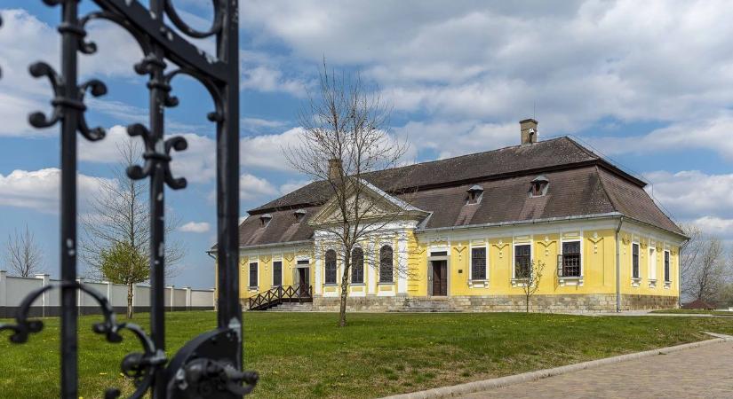 A kótaji homokbuckáktól az akadémikusi székig