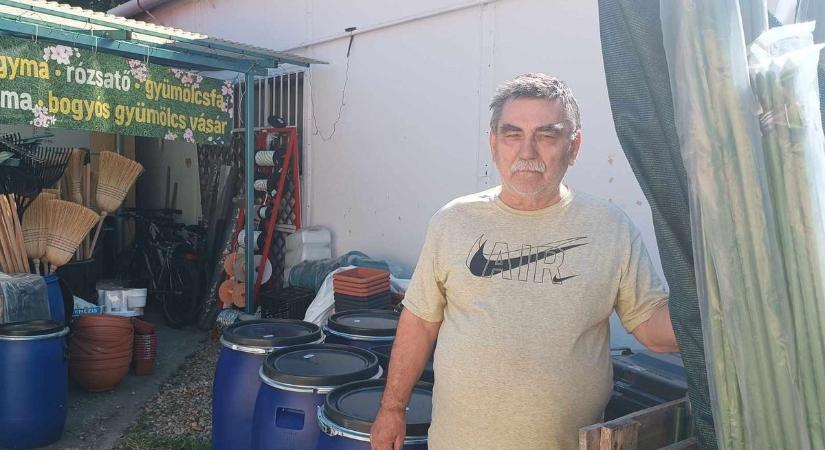 Kerti kisokos: locsolás, fűmag, nyírás és a nagy gyep vagy pázsit dilemma