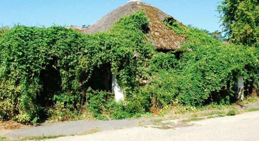 Különleges épület, amely túlélte az időt: elfeledett csárda a Balaton partján