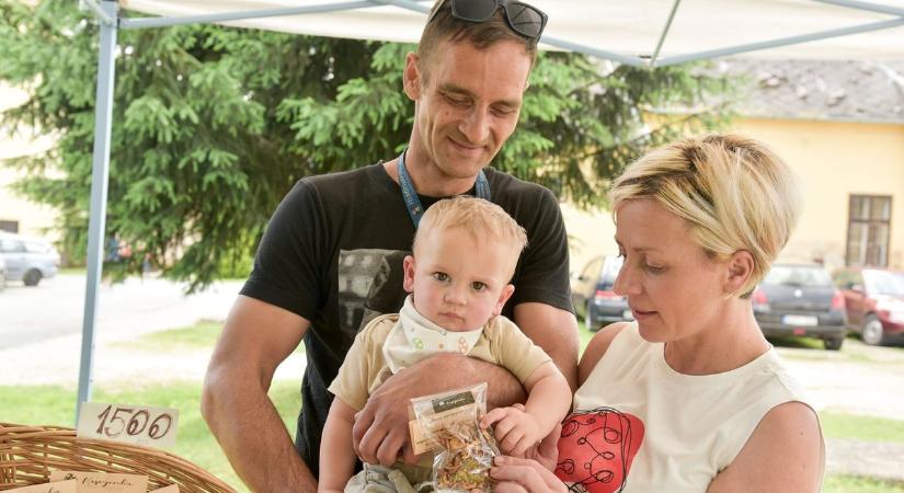 Különleges mesegomba terem ezen a somogyi településen