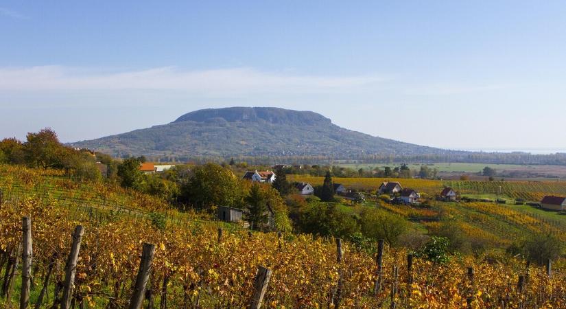 Hungarikum lett a Badacsonyi kéknyelű
