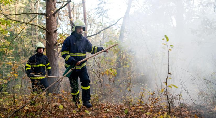 Nagy területen csaptak fel a lángok az erdőben