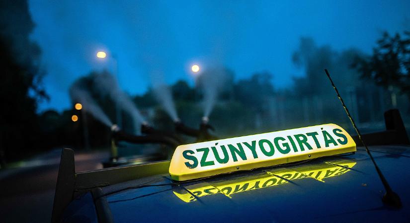 Érkezik a nyár, semmi másra nem vágytak ezek a vérszívók