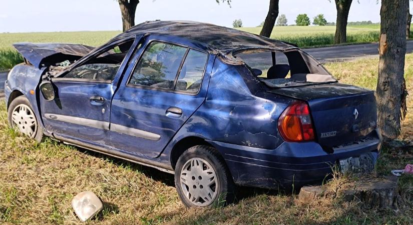 Kirepültek az autóból az utasok, autómosóban fürdette meg lovát a cirkuszigazgató