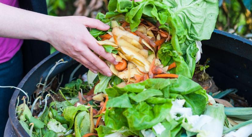 A kertészek titkos fegyvere: így lesz a konyhai maradékból tápanyagban gazdag komposzt