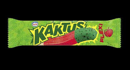 KAKTUS FLEXI