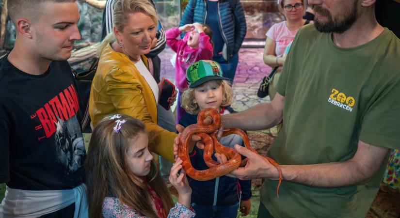Indulnak az Esti Séták a debreceni állatkertben