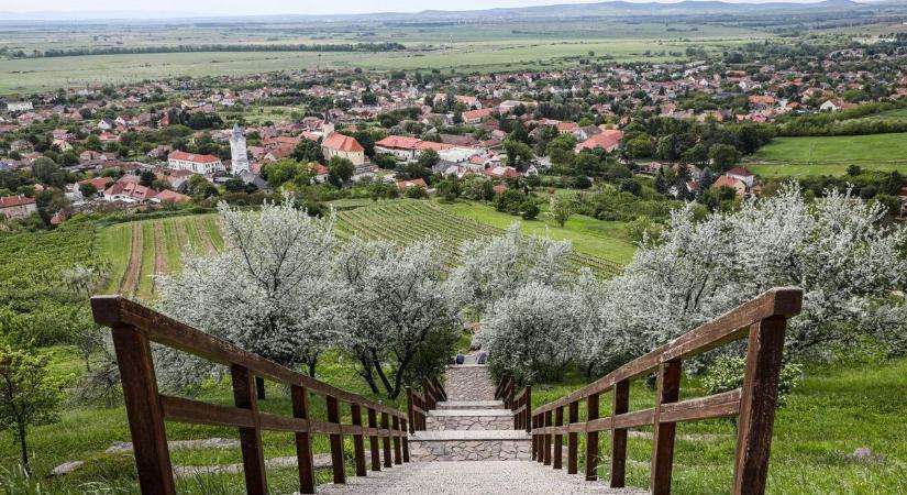 Pünkösdi hosszú hétvége? Rengeteg lehetőséget tartogat Borsod, íme néhány tuti tipp!
